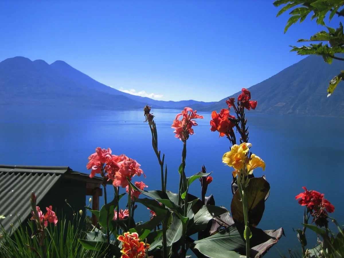 Lake Atitlán framed by flowering gardens above the Tzununá shoreline, with the volcanoes across the water